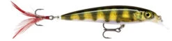 Rapala X-Rap 8cm Live Perch
