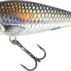 Salmo Perch Floating Plug Holo Grey Shiner 14cm -Karper Tackle Verkoop c829cd8c5e35e8cc
